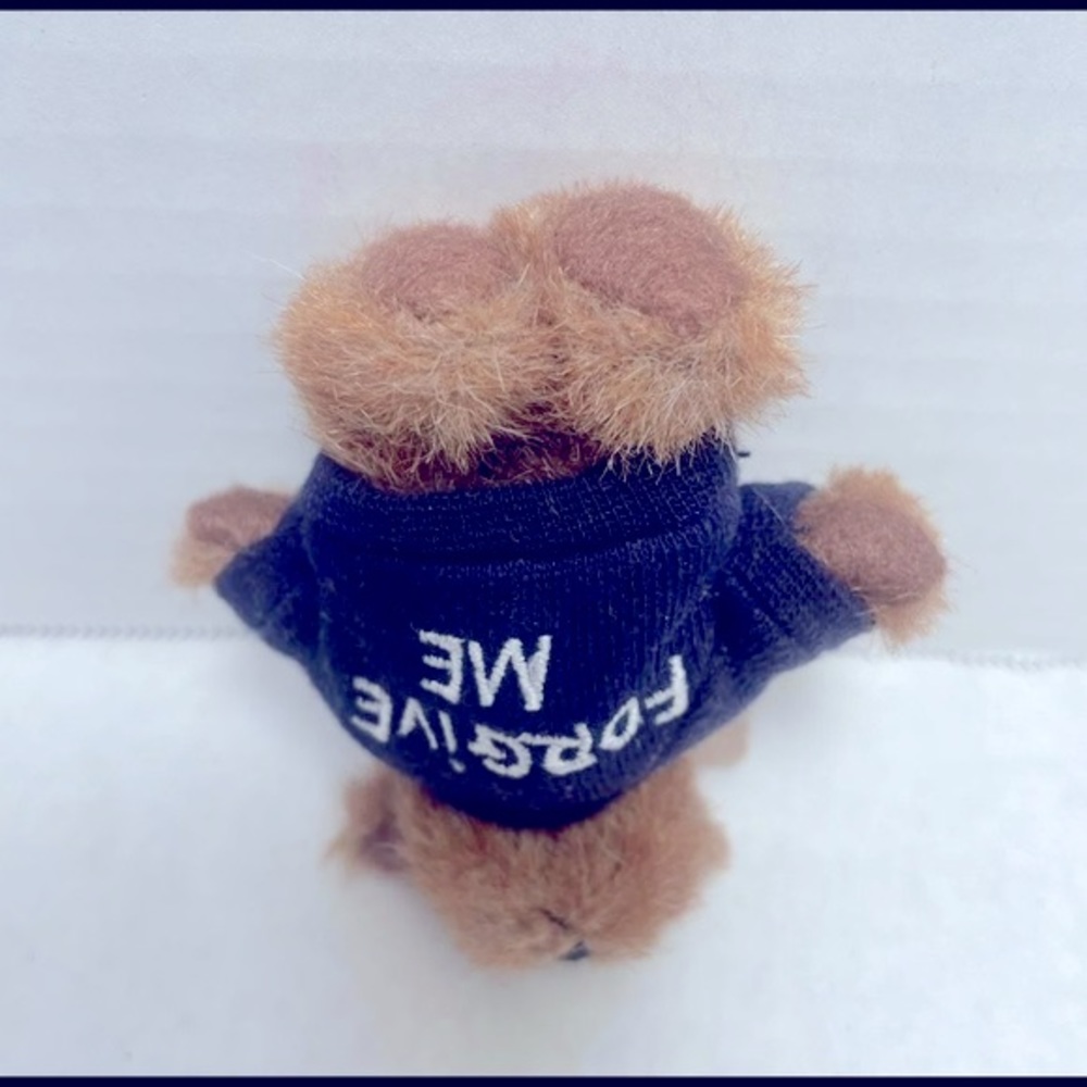 Vintage Retired Boyds Bear Mini Forgive me plush bear 4” - Picture 5 of 10